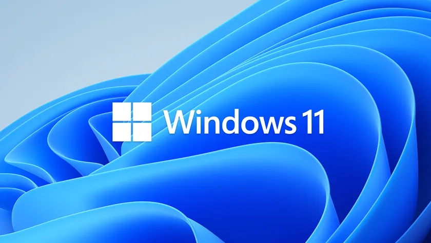 Install Windows 11 via Dism Apply-Image