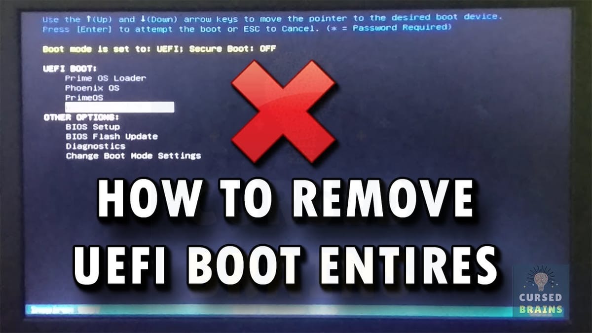 UEFI: Remove Unwanted Boot Entries from UEFI BIOS